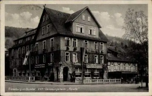 Ak Treseburg Thale im Harz, Gebäude, VVN-Genesungsheim, Forelle, Schilder