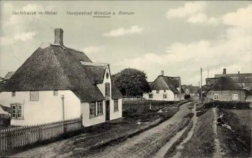 Ak Nebel auf der Insel Amrum Nordfriesland, Dorfstraße