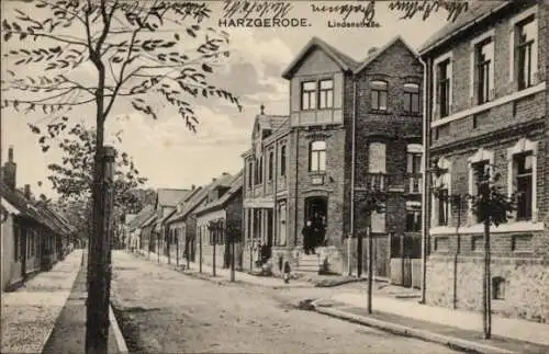 Ak Harzgerode am Harz, Lindenstraße, Häuserreihe, Bäume, r Stil