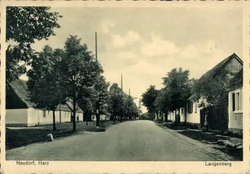 Ak Neudorf Harzgerode am Harz, Langenberg