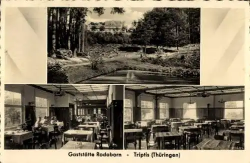 Ak Rodaborn Triptis in Thüringen, Gaststätte Rodaborn, Thüringen, Landschaftsaufnahme, Restaurant