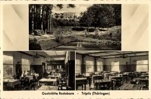 Ak Rodaborn Triptis in Thüringen, Gaststätte Rodaborn, Thüringen, Restaurant,  Ansicht