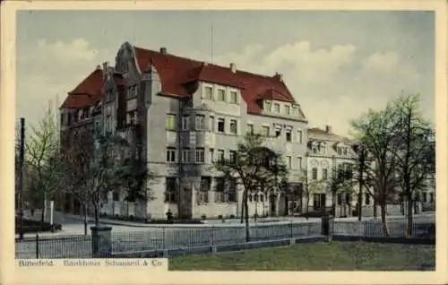 Ak Bitterfeld in Sachsen Anhalt, Bankhaus Schauseil & Co., s Gebäude, Bäume im Vordergrund