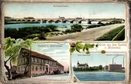 Ak Bitterfeld in Sachsen Anhalt, Gruß aus dem Gasthof Muldenthal, Villa, Papierfabrik