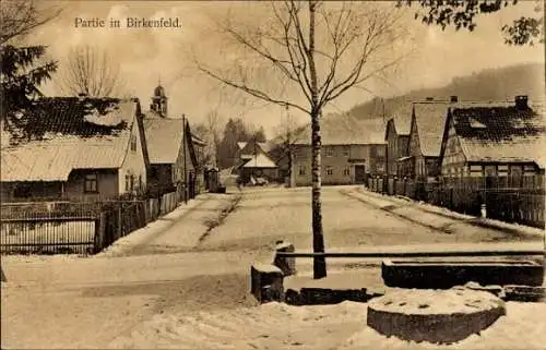 Ak Birkenfeld Hildburghausen in Thüringen, Straßenpartie, Winteransicht