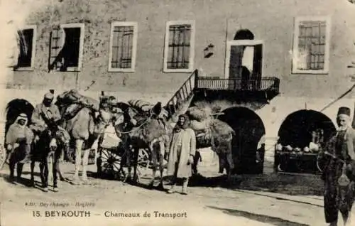 Ak Beirut Beyrouth Libanon,  Chameaux de Transport, Kamele, Gebäude, Menschen