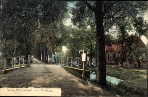 Ak Waddinxveen Südholland, Brücke, Bäume, Weg, Gebäude, farbige 