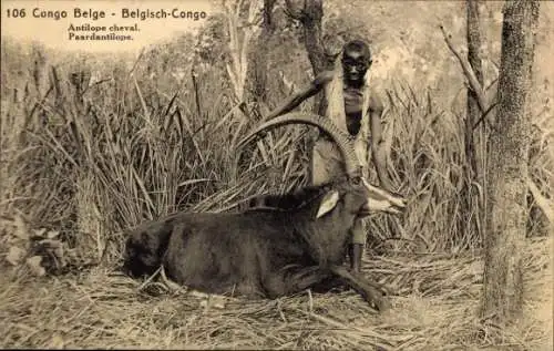 Ganzsachen Ak Belgisch Kongo Demokratische Republik Kongo Zaire, Pferdeantilope