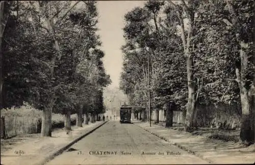 CPA Châtenay sur Seine Seine et Marne, Avenue des Tilleuls