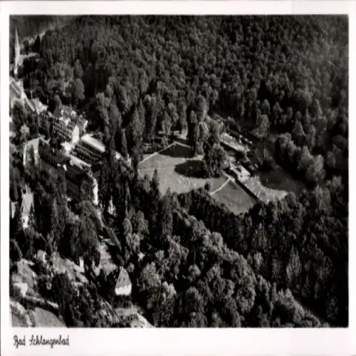 Ak Schlangenbad im Taunus Hessen, Luftansicht von  Bäume, Gebäude, Park
