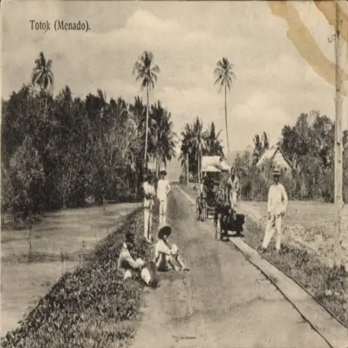 Ak Manado Menado Indonesia, Totok, Straße, Einheimische, Palmen