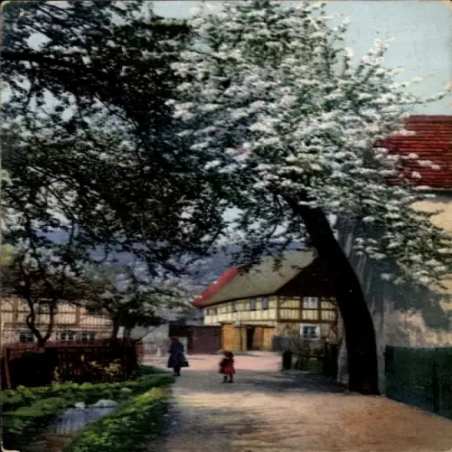 Ak Ortspartie, Fachwerkhaus, Baumblüte