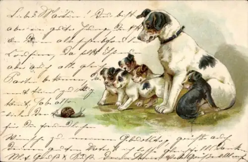 Litho Terrier, Vier kleine Welpen bellen eine Schnecke an