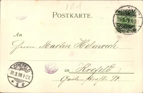 Litho Terrier, Vier kleine Welpen bellen eine Schnecke an