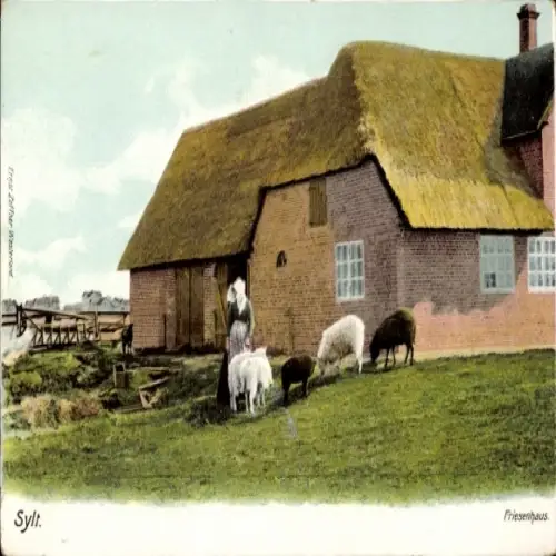 Ak Insel Sylt in Nordfriesland, Friesenhaus, Schafe, Frau, ländliche Landschaft