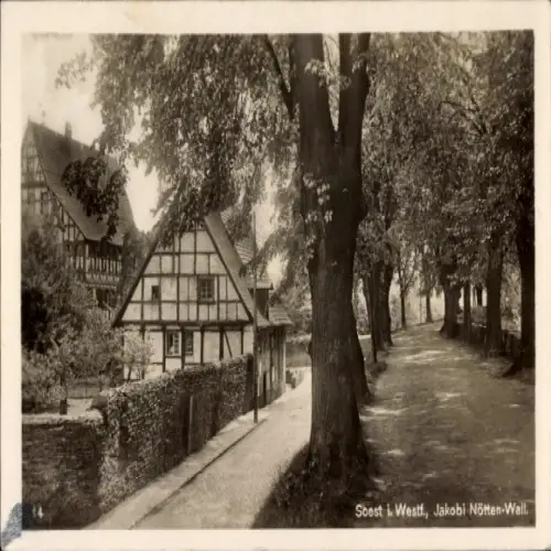 Ak Soest in Westfalen, Historisches Fachwerkhaus, Baumallee, ruhige Straße, Schwarz-Weiß-Fotograf