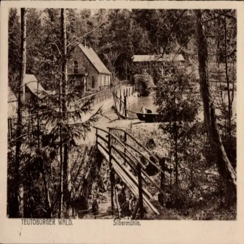 Ak Detmold am Teutoburger Wald, Silbermühle, Waldlandschaft,  