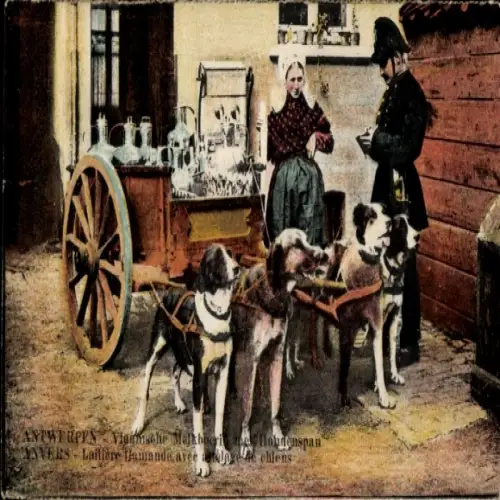 Ak Anvers Antwerpen Flandern, Milchmädchen, Hundekarren, Arbeitshunde, Polizist
