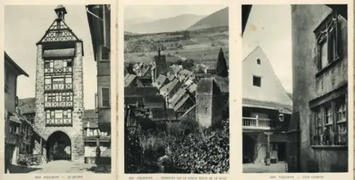 12 Ak im Umschlag, Riquewihr Reichenweier Elsass Haut Rhin