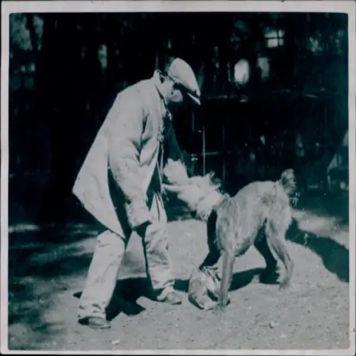 Foto Kolonialausstellung, Stadt der Hunde, Hundedressur, Seance