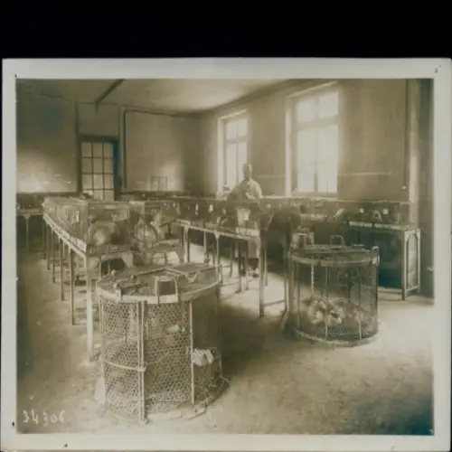Foto Paris, Institut Pasteur, 25. Jahrestag, Tiere in Käfigen