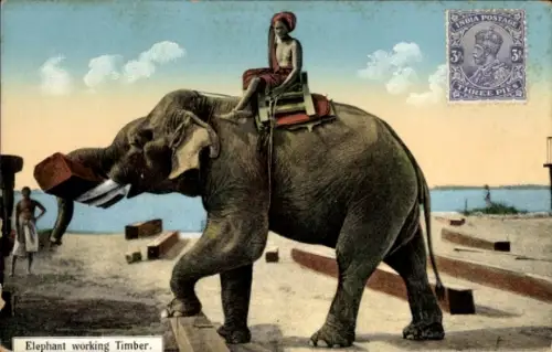 PC Indien, Elephant working Timber