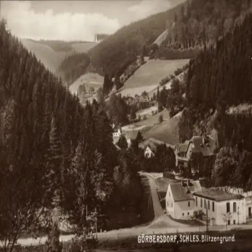 Ak Sokołowsko Görbersdorf Schlesien, Blitzengrund