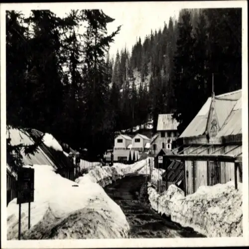 Ak Sospel Alpes Maritimes, Schneebedeckte Landschaft, Gebäude, Nadelbäume, verschneiter Weg