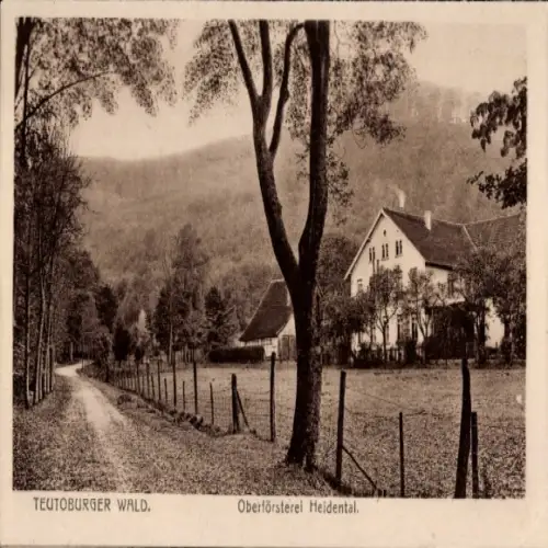 Ak Hiddesen Detmold im Teutoburger Wald, Oberförsterei Heidental
