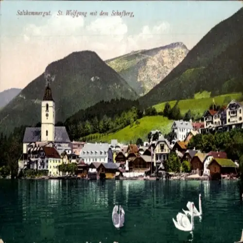 Ak St. Wolfgang am Wolfgangsee Oberösterreich, Seeblick, Kirche, Schafberg, Schwäne, Alpenlandsch