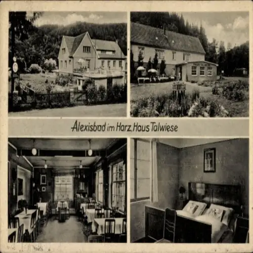 Ak Alexisbad Harzgerode am Harz, vier Ansichten von Haus Talwiese