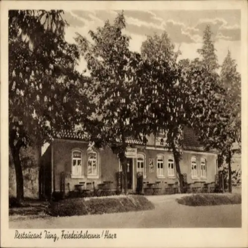 Ak Friedrichsbrunn Thale im Harz, Restaurant Jung