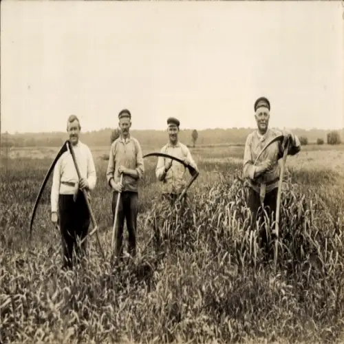 Foto Ak Aken an der Elbe Sachsen Anhalt, Bauern mit Sensen auf einem Feld, um 1925
