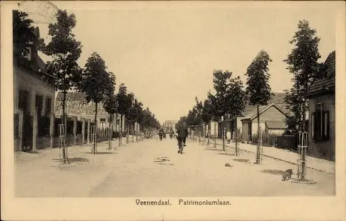 Ak Veenendaal Utrecht Nederland, Patrimoniumlaan