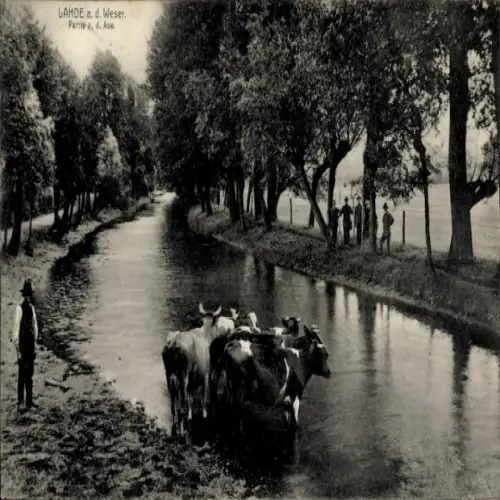 Ak Lahde Petershagen an der Weser, Landschaft mit Kühen am Wasser, Bäume, Menschen am Ufer
