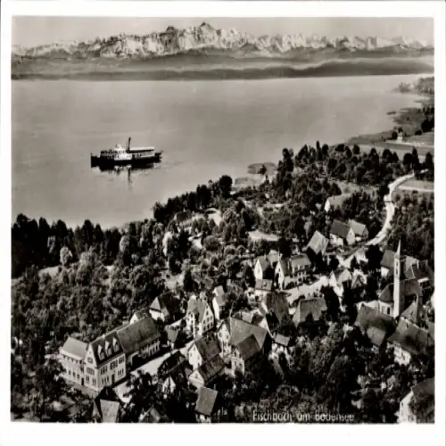 Ak Fischbach Friedrichshafen am Bodensee, Landschaft am Bodensee, Schiff auf dem Wasser, Häuseran