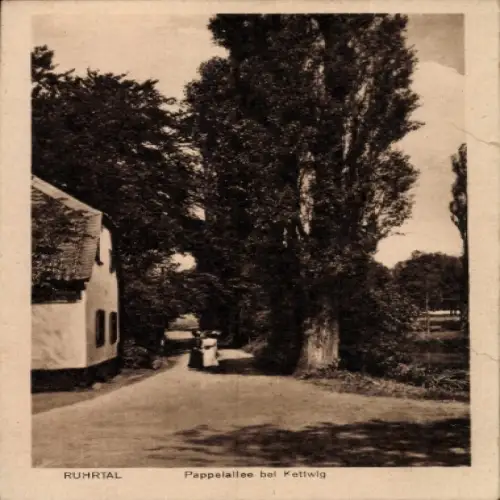Ak Kettwig Essen im Ruhrgebiet, Pappelallee