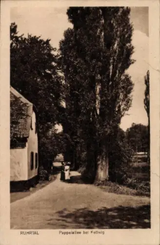 Ak Kettwig Essen im Ruhrgebiet, Pappelallee