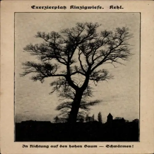 Ak Kehl am Rhein, Exerzierplatz Kinzigwiese, Baum