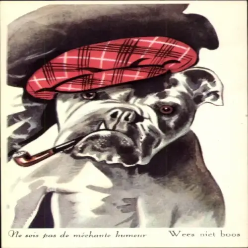 Ak Bulldogge, Rauchender Hund, Mütze