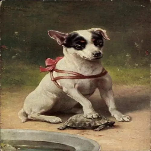 Künstler Ak Hund und Schildkröte