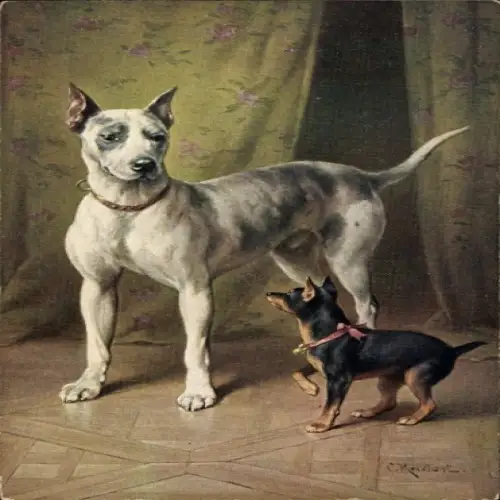 Künstler Ak Reichert, C., Zwei Hunde, Schwarzer und weißer Hund