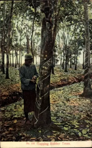 PC Tapping Rubbler Trees