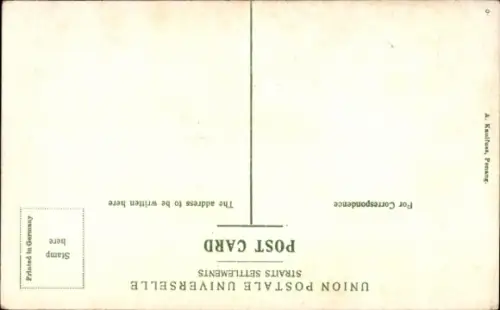 PC Tapping Rubbler Trees