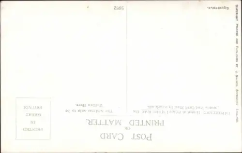 Künstler Ak Howard, C. T., Zwei Eichhörnchen am Baum