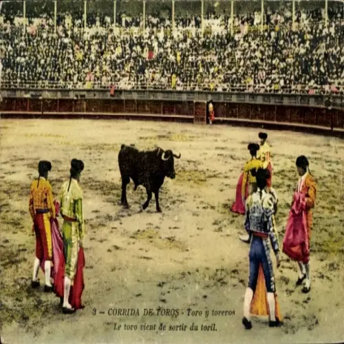 Ak Stierkampf, Toro y toreros, Le toro vient de sortir du toril
