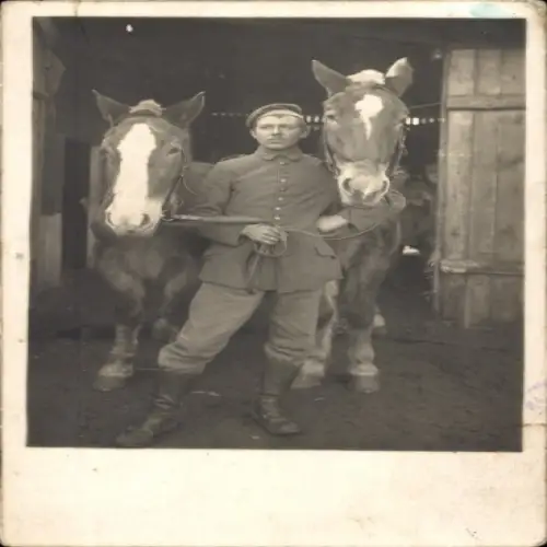Foto Ak Soldat mit zwei Pferden am Stall