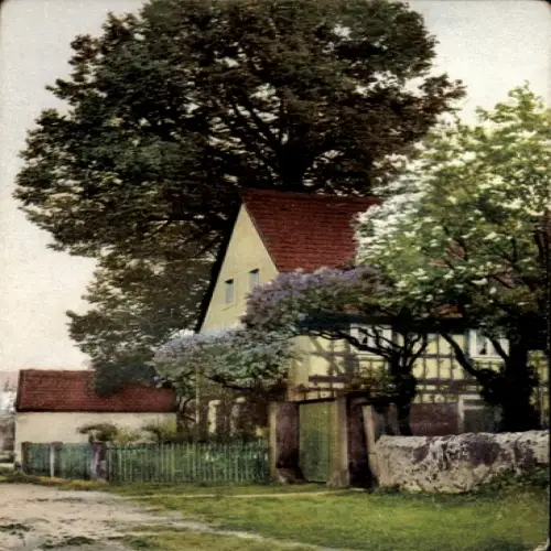 Ak Nenke & Ostermaier Nr. 1276, Frühlingsblüte