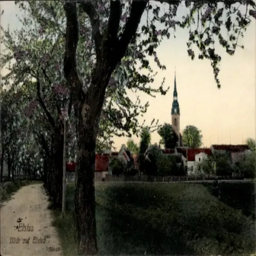 Ak Elstra in der Oberlausitz Sachsen, Fussweg mit blühenden Bäumen, Kirchturm im Hintergrund, ...