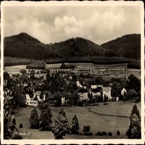Ak Erlbach im Vogtland, Landschaftsaufnahme, Dorfansicht, Hügel, Gasthof, Bäume